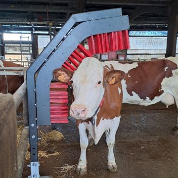 Image de Brosse ANIZEN en C murale